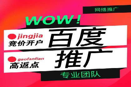sem百度竞价成功案例：如何精准投放广告